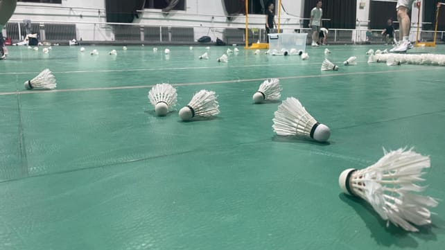 A 40% price hike for badminton shuttlecocks in China is linked to the lower cost of pork. What’s the deal?