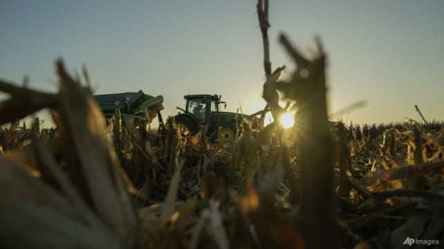 'Truly frightening': Pesticides increasingly laced with forever chemicals