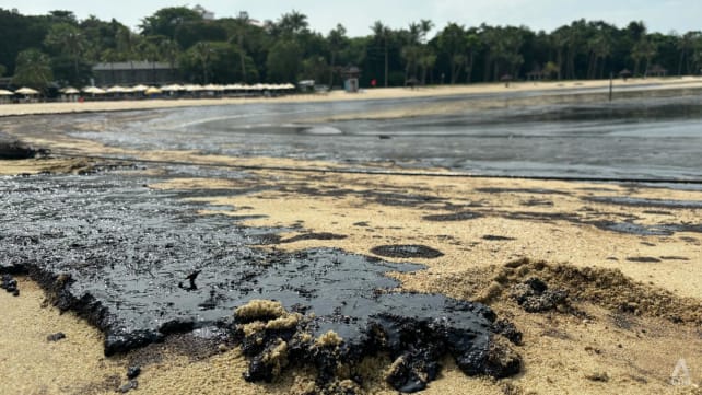 Businesses affected by Singapore oil spill may get help with rent